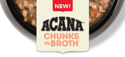 chunks-mobile-logo-bowl