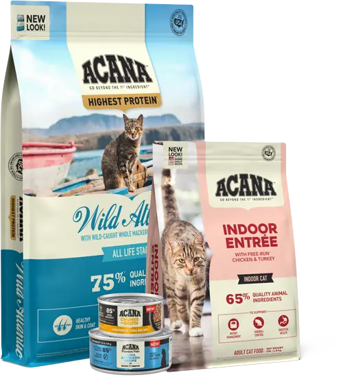 aca-cat-wet-variety-kibble-mobile