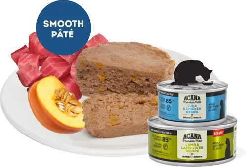 aca-cat-wet-pate-image-desktop 