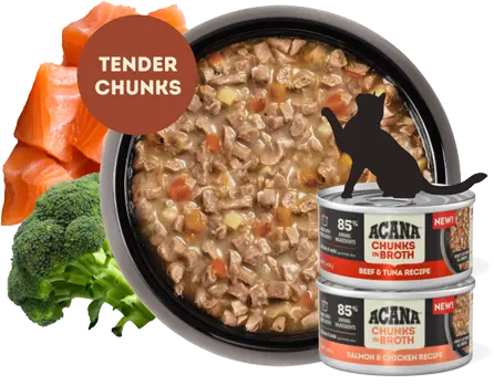 aca-cat-wet-chunks-image-desktop 