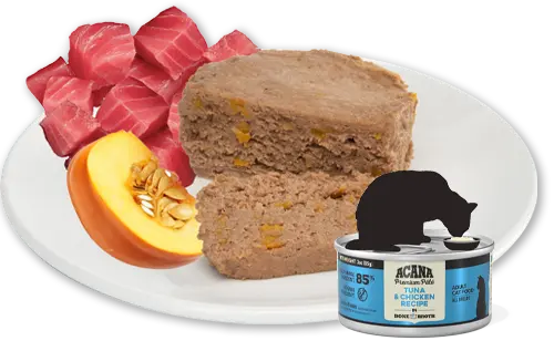 aca-cat-wet-pate-image