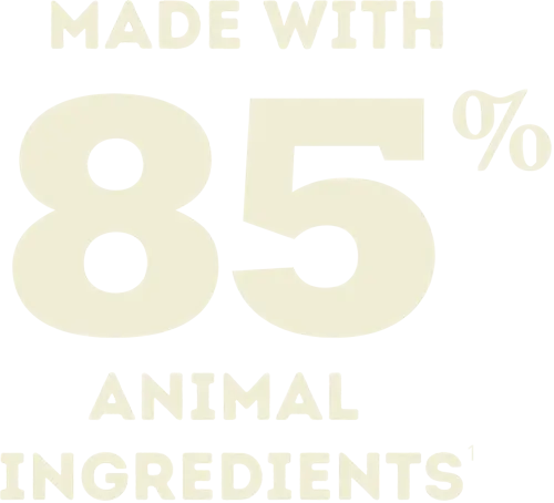 aca-cat-wet-85-percent-desktop 