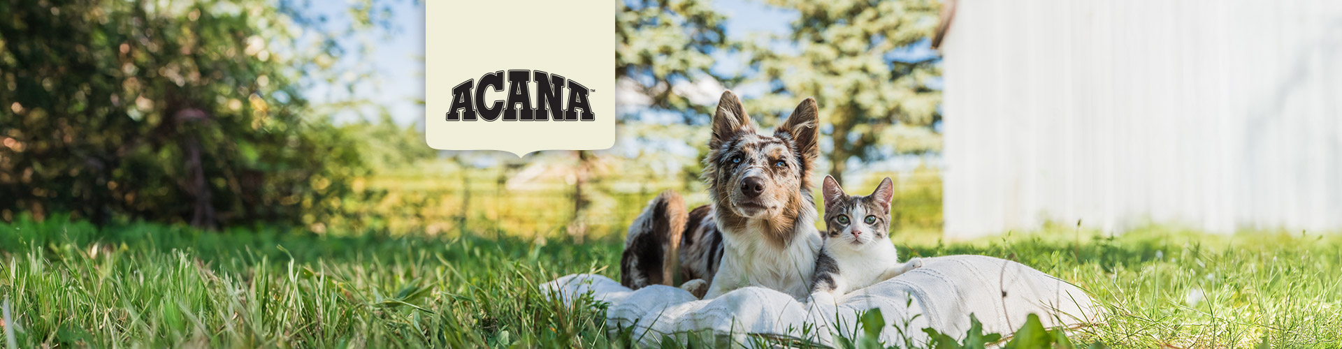 Petstock-Landing-Page