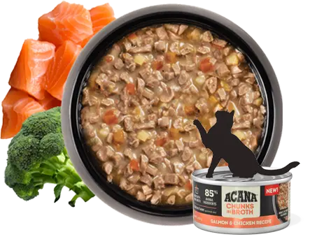 aca-cat-wet-pate-image