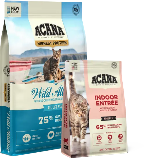 aca-cat-wet-variety-kibble-desktop